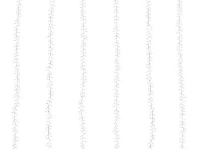 Pottery Barn curtain rain string lights 3D model