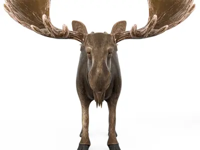 Moose cartoon rigged 3D model
