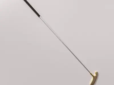 Putter gold and golf 3D model