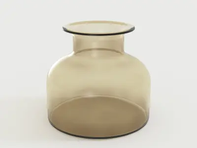 Crystal Clear Glass Vase 3D model
