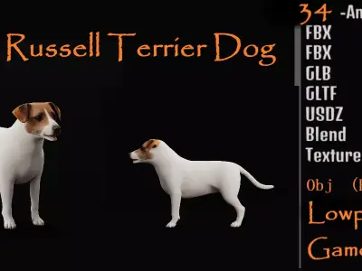 Jack Russell Terrier Dog Low-poly 3D model