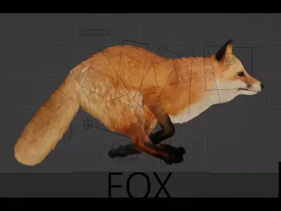 Red Fox Low-poly 3D model