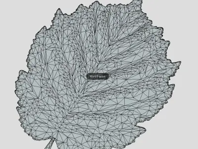 Hazelnut Leaf High-Poly 3D model