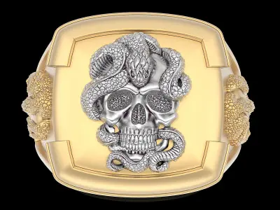 Skull snake Man Ring silver gold printable jewelry 3D print model