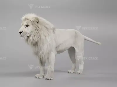 White Lion Animation - Blender 3D model