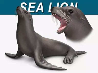 Sea Lion V2 3D model