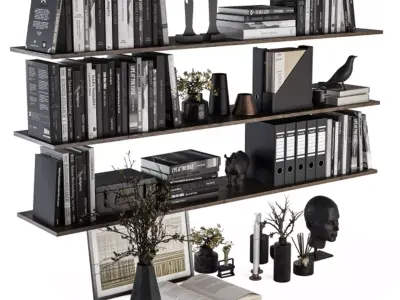 Decorative Set on Shelves and Decor objects 3D model