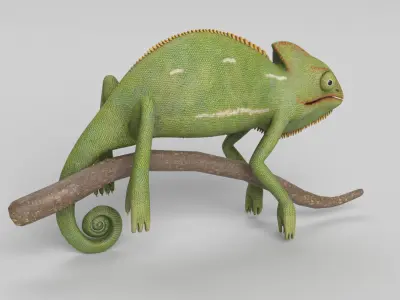 Chameleon 3D model