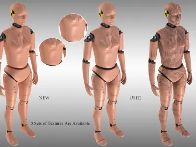 Female Crash Test Dummy -  3 Texture Sets in 1 3D model