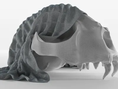 Skull bone model 3D model