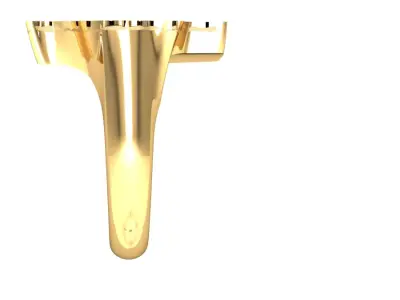 Texas ring 3D print model