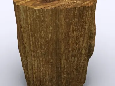 Tree Stump 3D Model 3D model