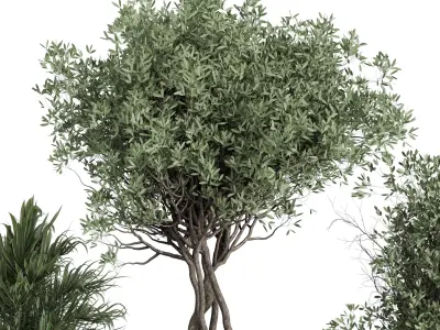 outdoor plant set 156 plant tree palm bush concrete dirt vase Low-poly 3D model