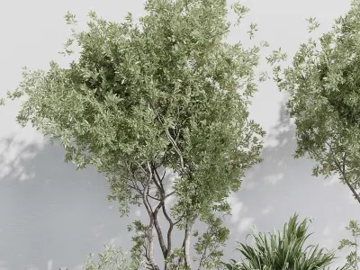 indoor plant set 387 plant tree palm bush concrete dirt vase Low-poly 3D model