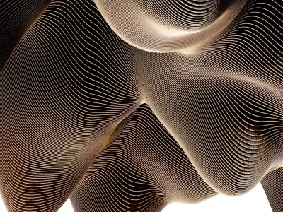 Parametric hall n5 3D model