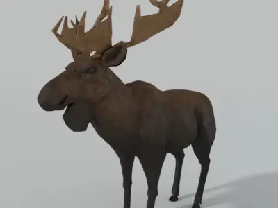 Moose with antlers Low-poly 3D model purchase