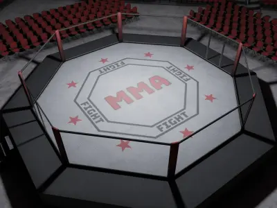 VR MMA Octagon Cage Ring Low-poly 3D model