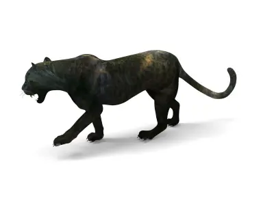 3d Black Panther Rigged Model Low-poly 3D model