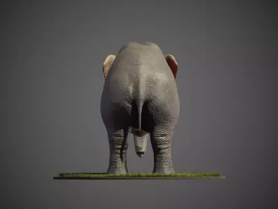 Elephant Low-poly 3D model Low-poly 3D model