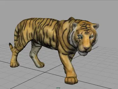 Tiger Low-poly 3D model