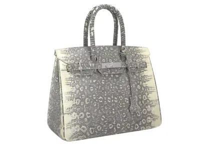 Hermes Birkin Lizard leather 3D Handbag Model Low-poly 3D model