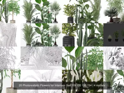 20 Photorealistic Flowers for Interiors - set 119 135 130 134 3D Model Collection