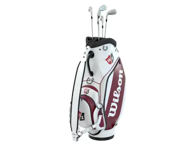 Wilson Golf Bag White Low-poly 3D model