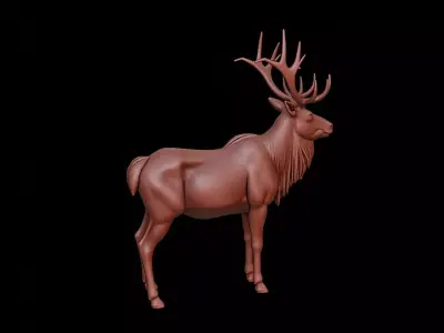 Elk Animal Sculpture 3D print model buy