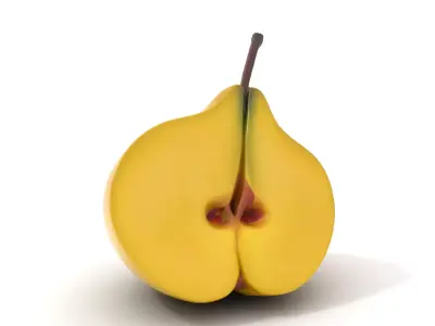 Golden Pear Slice model pack Low-poly 3D model