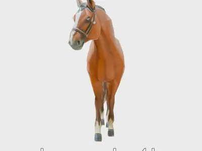 Bay Quarter Horse 3D Model with Earthy Tones Low-poly 3D model