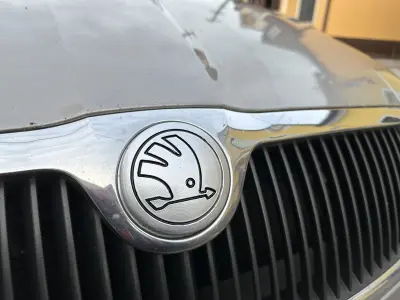 Skoda Octavia 2 Logo Front 3D print model