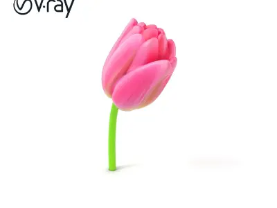 Pink Tulip Light Gradient Petals model pack Low-poly 3D model