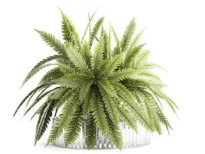 Green floral bouquet fern branches modern glass vase decor 3D model