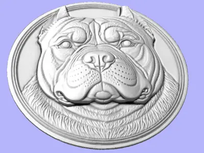 MOEDA PITBULL 3D model