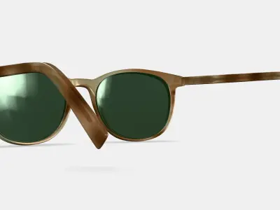 Durand Sunglasses in Oak Resin Matte 3D model