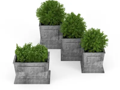 Boxwood four concrete planters with greenery 3D model