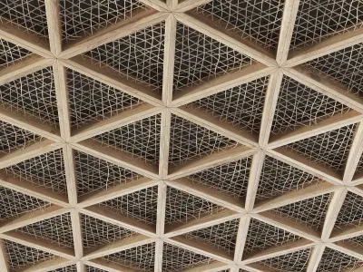 Ceiling tringle frame branch n1 3D model