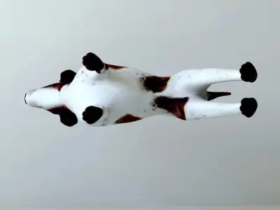 Dogs full body Low-poly 3D model