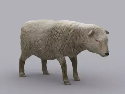 SHEEP GAME READY ANIMATED MODEL Low-poly 3D model