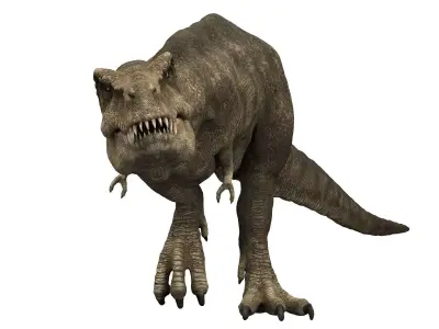 Tyrannosaurus rex 3D model