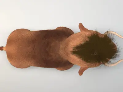 cartoon young mammoth Low-poly 3D model