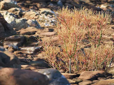 Maxtree Plant Models Vol 73 - Mesh 3D model