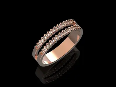 Double Ring 3D print model