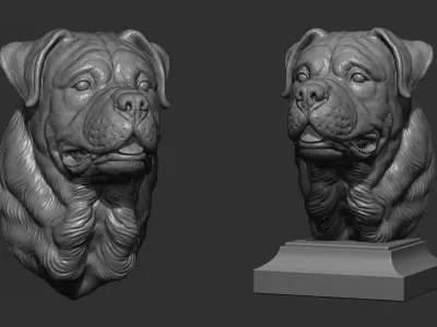Rottweiler bust dog 3D print model