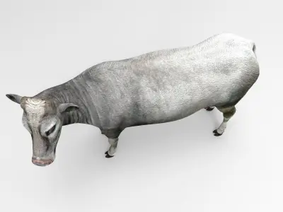 Gray Cow  Low-poly 3D model