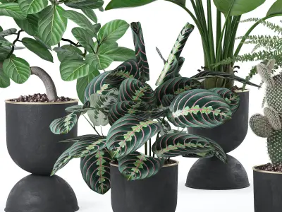 Plants collection 124 3D model