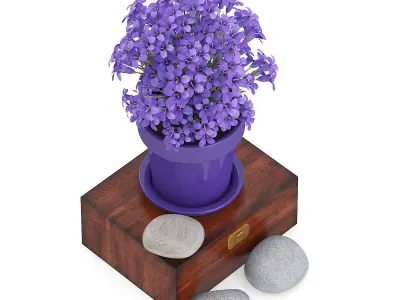 Purple Flowes on Wooden Box 3D model