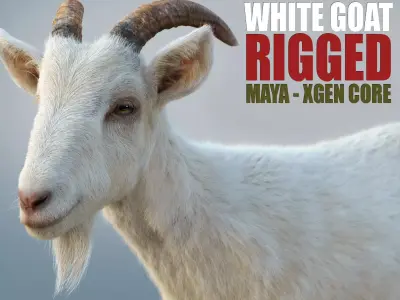 White Goat RIG Xgen Core 3D model