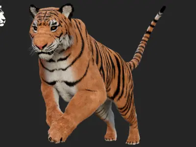 Tiger 3D model