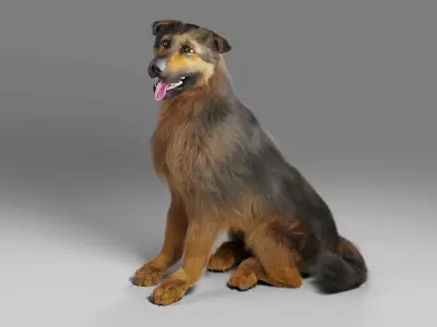 Fur German Shepherd Rigged   Low-poly 3D model